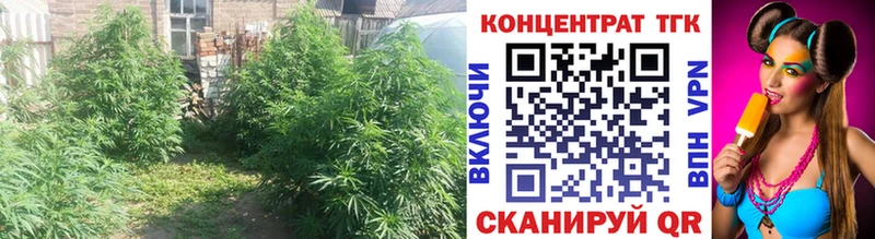 ТГК Wax Пятигорск