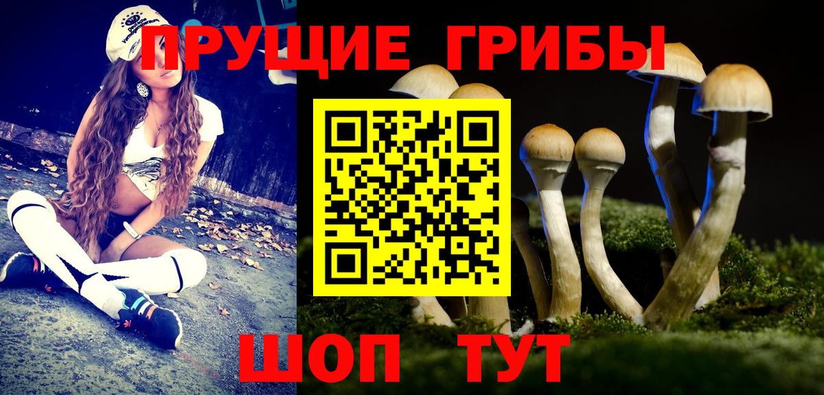 Псилоцибиновые грибы ЛСД  Вход с VPN  Пятигорск 