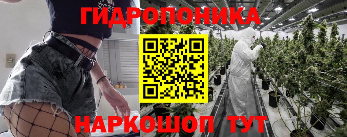 Пятигорск  Канабис OG Kush  Бошки Шишки гибрид  Вход с VPN  МАРИХУАНА MAZAR 